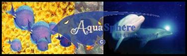 AquaSpherePhotography.com by Jim Wainwright